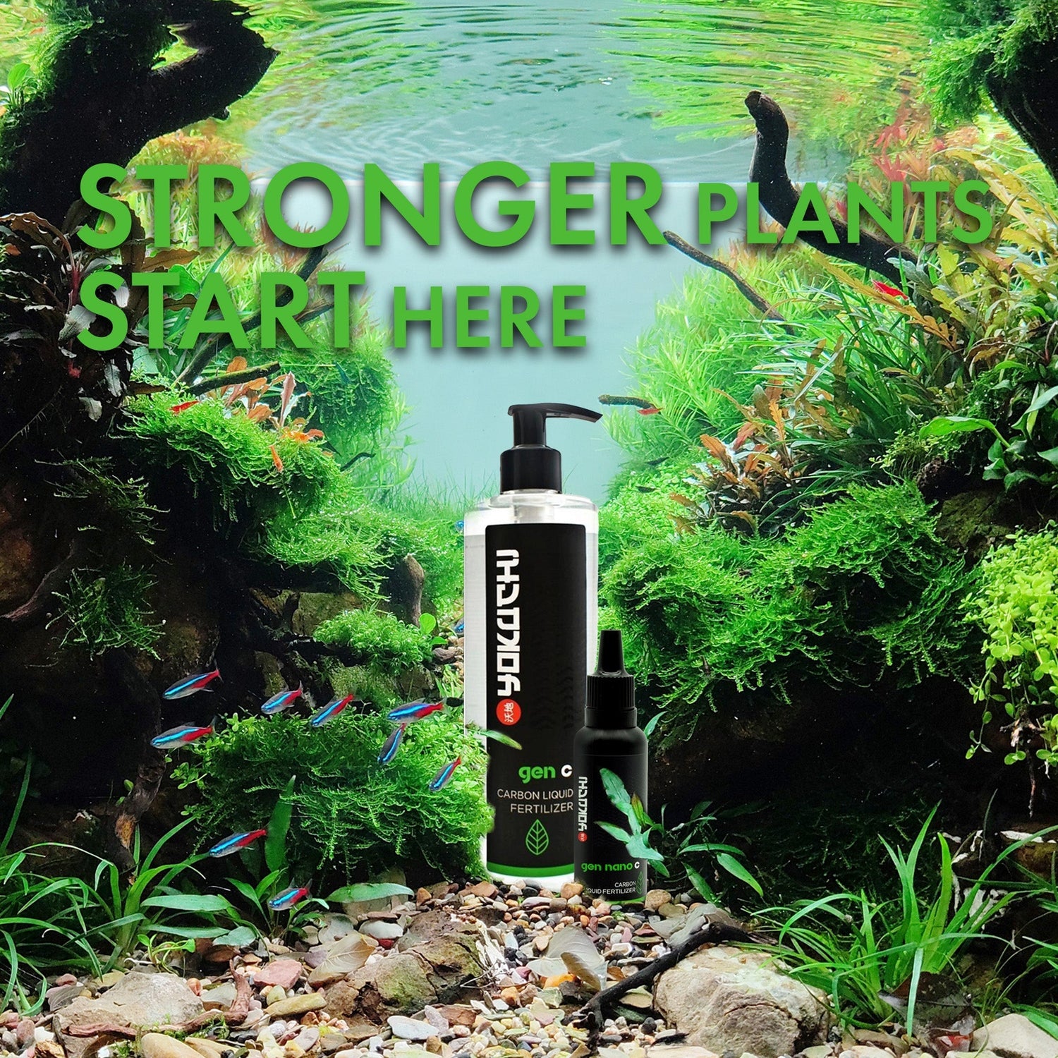 GEN C – The Carbon Boost your aquarium plants are craving