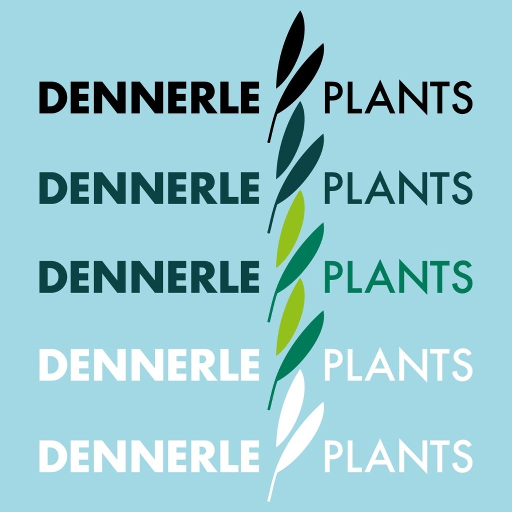 Dennerle Plants new logo and brand identity