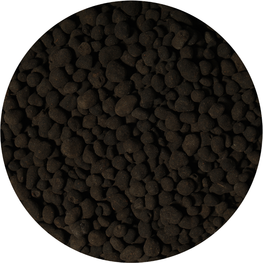 Janguru Soil