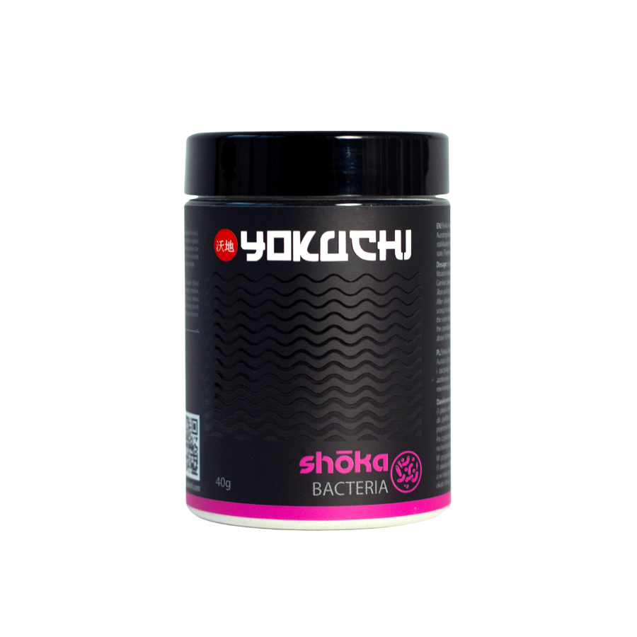 Shoka Bacteria