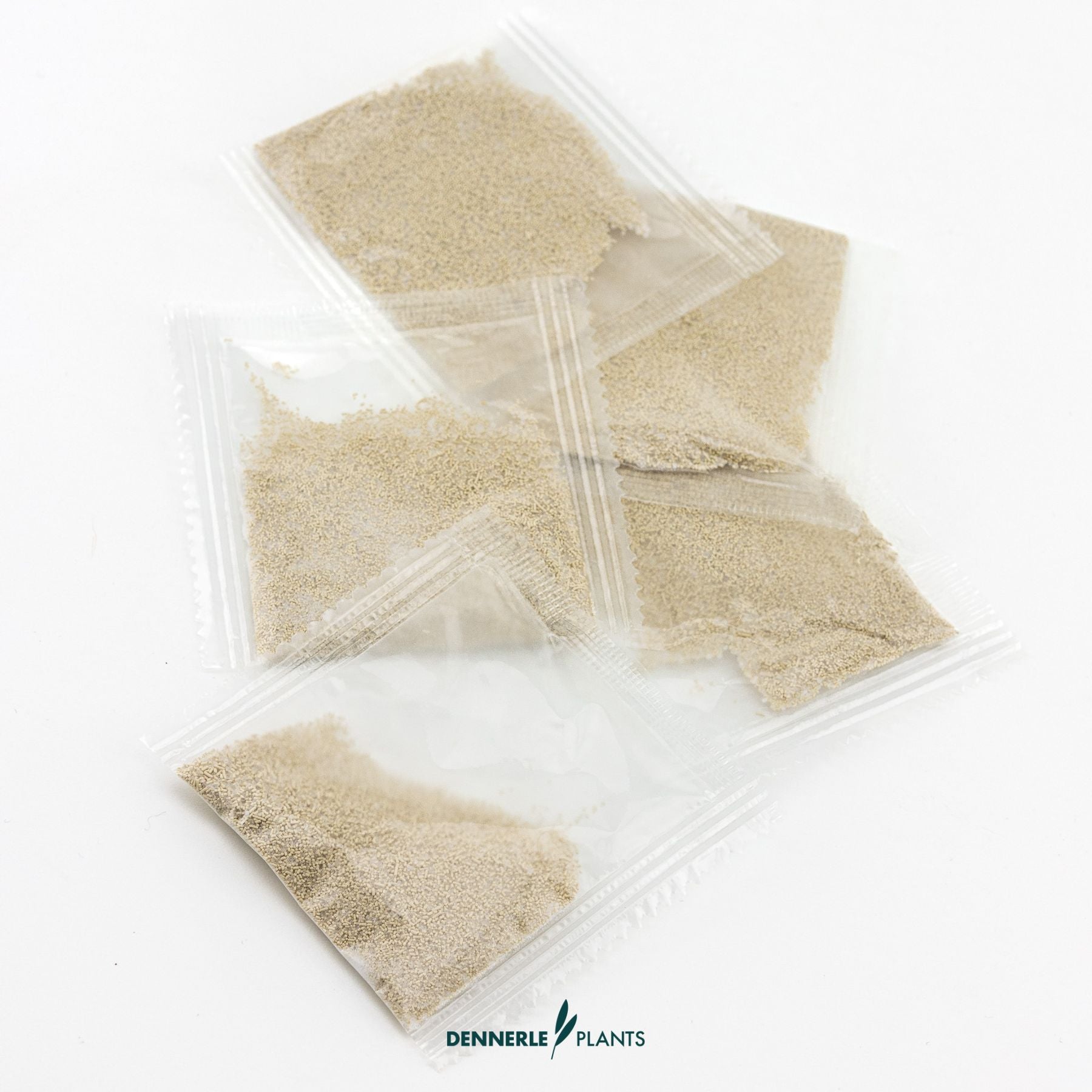 Dennerle Plants Activator bags for CO2 STARTER KIT
