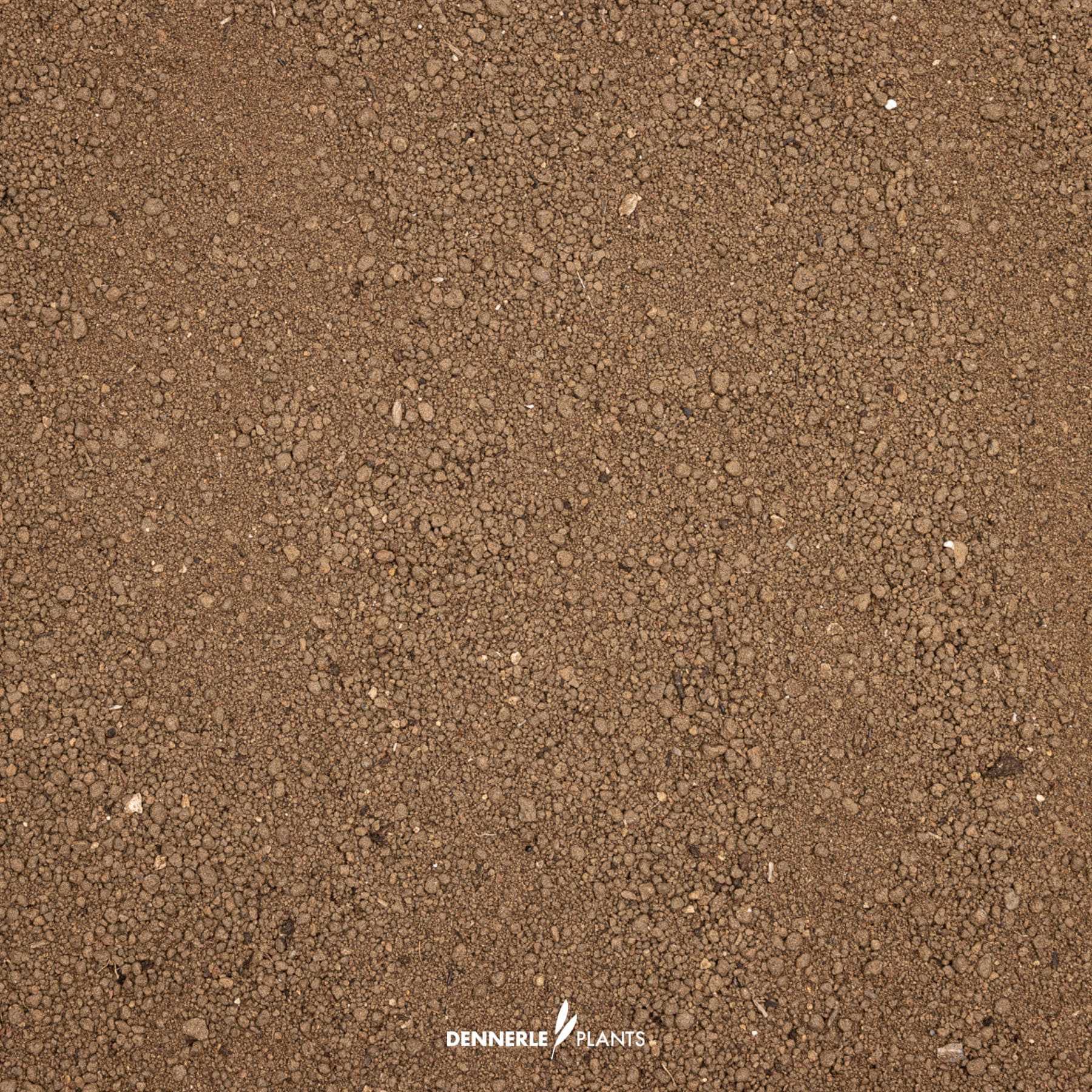 Dennerle Plants substrate seen top down