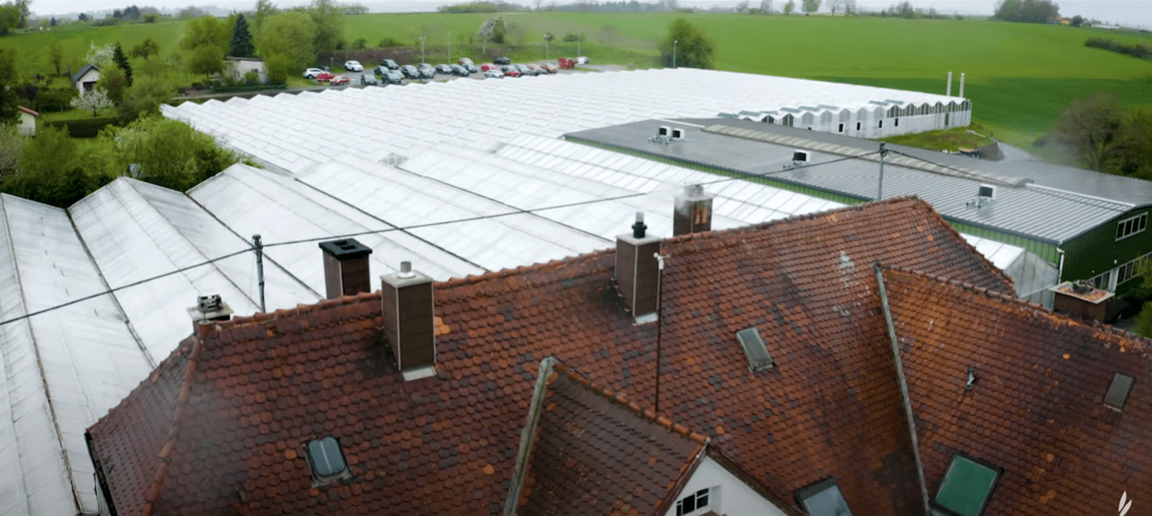 Rooftop of the Dennerle Plants offices and green houses
