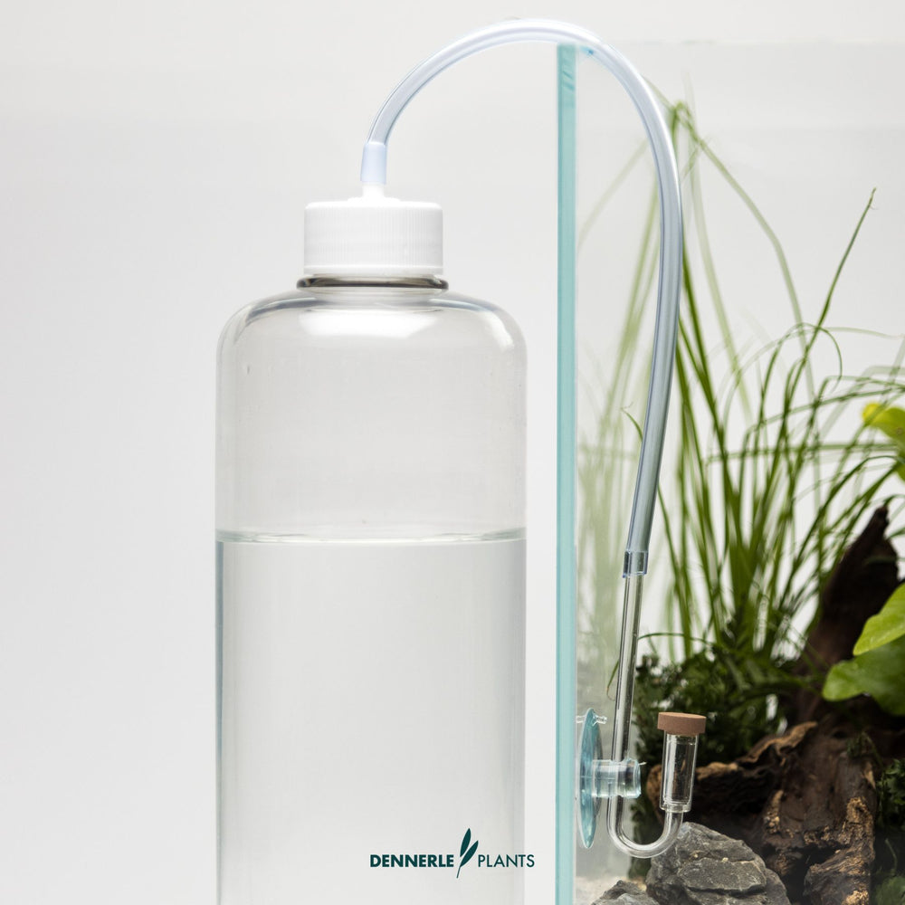CO₂ Aquarium Systems UK | Boost Plant Growth & Aquascape Health