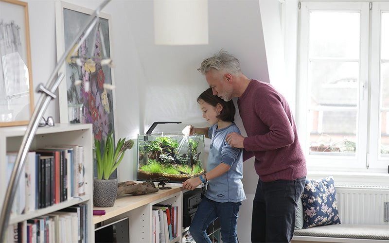Father and son immersed in creating a beautiful aquarium in their living room